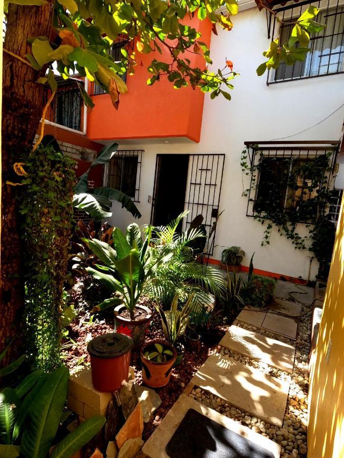 Casa Lomas Del Marinero Internet Starlink Sin Garaje Leilighet Puerto Escondido  Eksteriør bilde