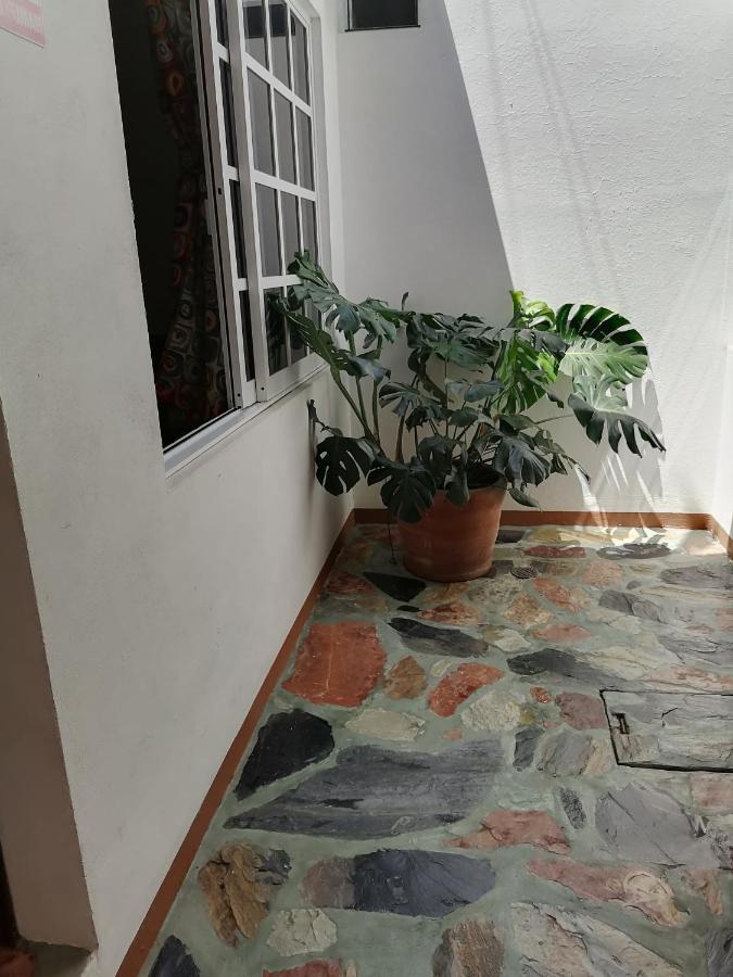 Casa Lomas Del Marinero Internet Starlink Sin Garaje Leilighet Puerto Escondido  Eksteriør bilde
